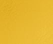 Untitled design (41).png